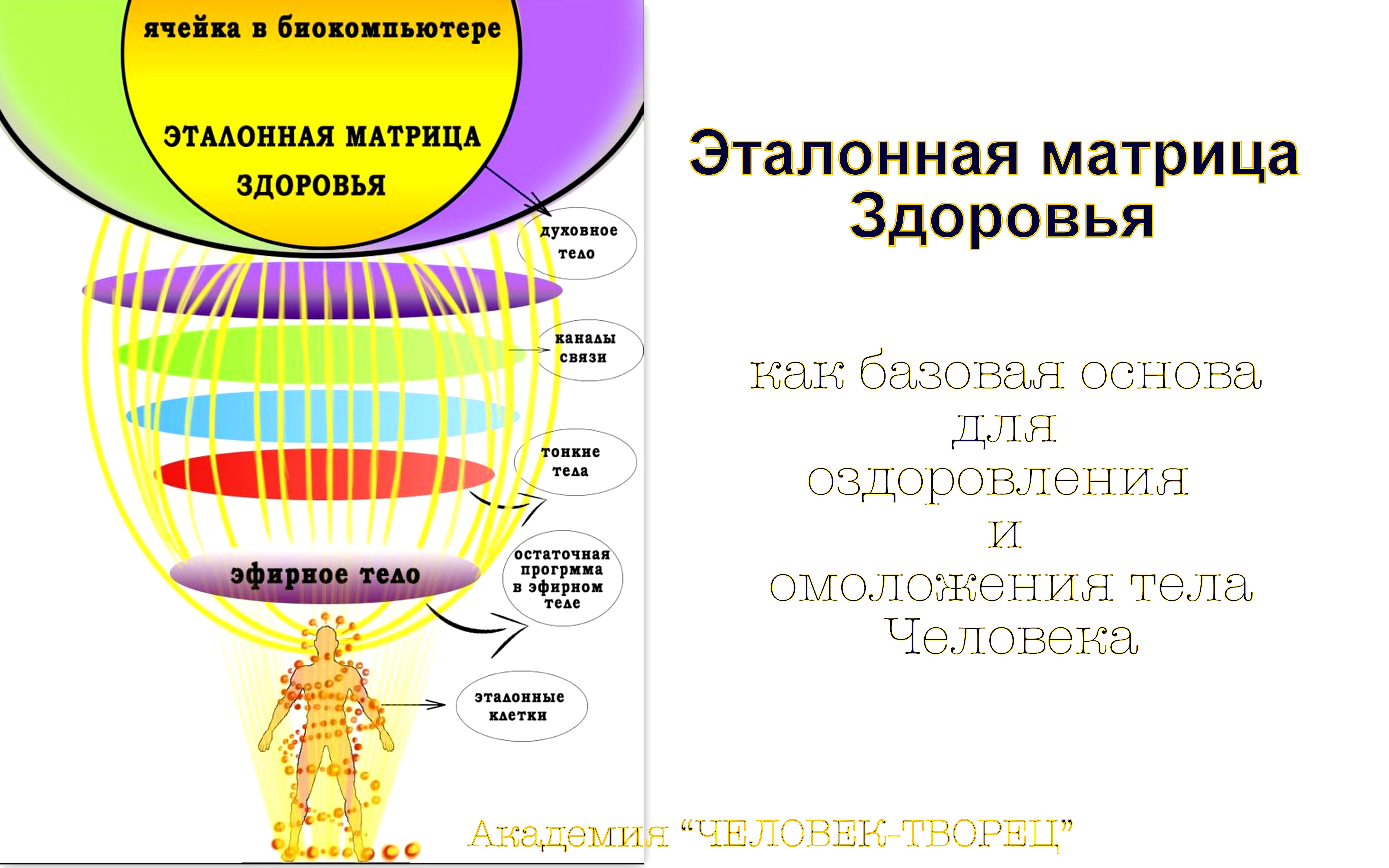 Карта здоровья матрица